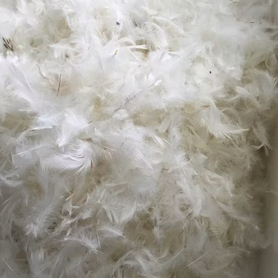Factory Directly Supply Cheapest RDS White Washed 2-4cm Duck Feather