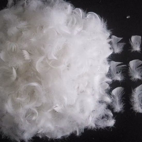 Factory Directly Supply Cheapest RDS White Washed 2-4cm Duck Feather